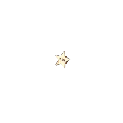 I tried gold star lapel pin