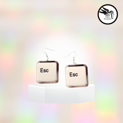 ESC escape key earrings